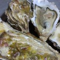 寿都（すっつ）の生牡蠣。