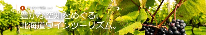 AIRDO表紙