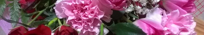IMAG0172
