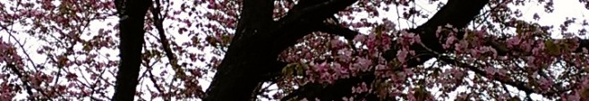 IMAG0589